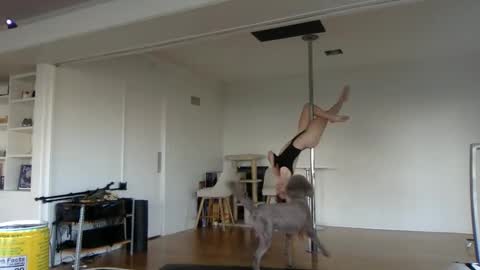 sadgirldies online show from 02-20-25, 12:52