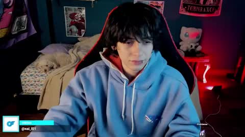 Snapshot of sai_l chatting on 01-11-25, 02:41 SAI online show from 01-11-25, 02:41