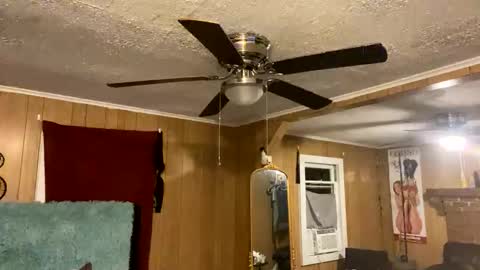 PupTwink online show from 10-10-25, 02:10