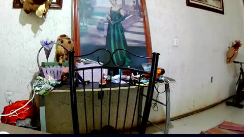 Snapshot of sailor_ruby7 chatting on 10-02-25, 09:11 ruby  chocoholic cakeholic coffeeholic cookieholic online show from 10-02-25, 09:11