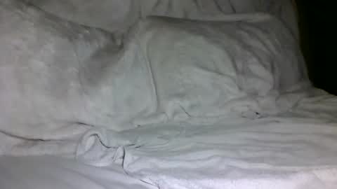 Snapshot of saintd17 chatting on 02-05-25, 01:44 SD17 online show from 02-05-25, 01:44