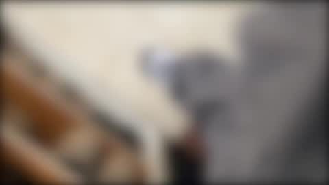 salgemma online show from 03-02-26, 03:19