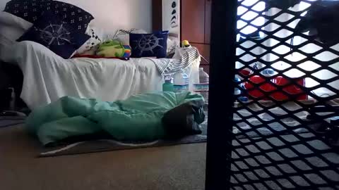 salis1981 online show from 02-07-25, 12:31