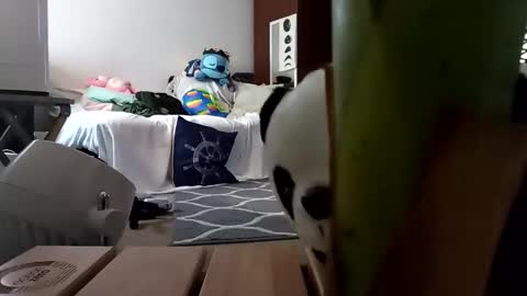 salis1981 online show from 02-08-25, 01:54