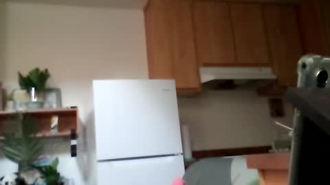 salis1981 online show from 10-13-25, 09:15