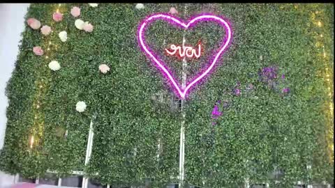 salome online show from 01-25-25, 10:50