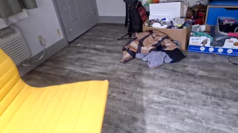 Snapshot of samboiamtho chatting on 01-03-25, 06:11 samboiamtho online show from 01-03-25, 06:11