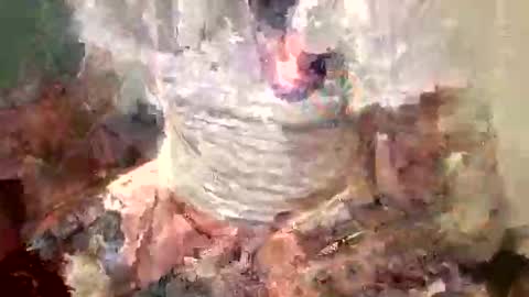 Snapshot of samboiamtho chatting on 11-01-25, 01:07 samboiamtho online show from 11-01-25, 01:07