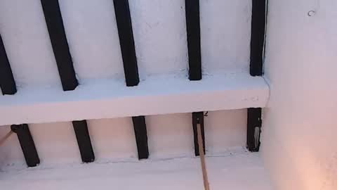 Sammy  online show from 02-20-26, 02:30