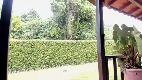 Samuel online show from 12-12-24, 06:42