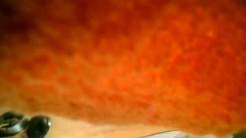 samueltal online show from 10-16-25, 07:37