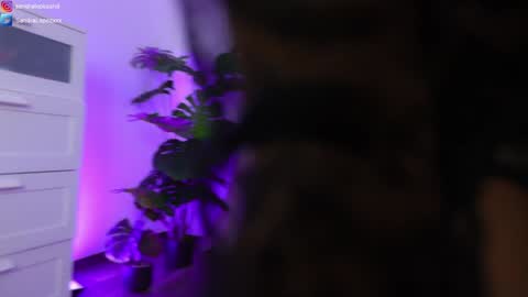 Sandra online show from 01-23-25, 08:45