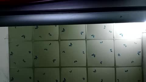 santichai561323 online show from 02-19-25, 02:01