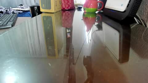 Snapshot of saphiraowen chatting on 12-31-24, 12:21 saphira online show from 12-31-24, 12:21