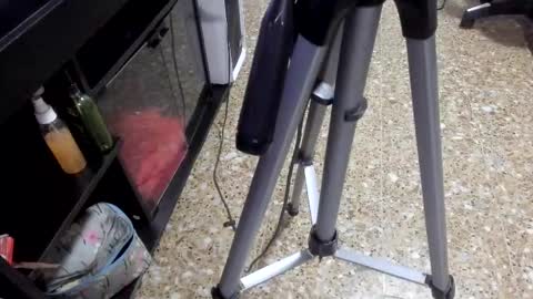 sara_salgado online show from 02-11-26, 11:04