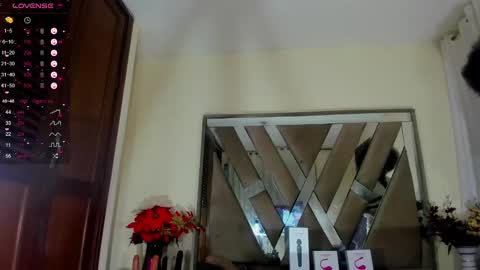 SARA 730 A 200 PM  online show from 01-29-25, 01:17