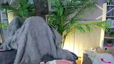 Snapshot of saraandsofi02 chatting on 12-31-24, 09:42 sofia gomez420 online show from 12-31-24, 09:42