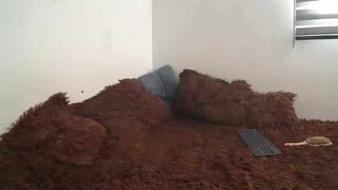 sara and thomas online show from 01-10-25, 09:10