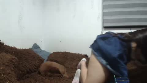 sara and thomas online show from 01-12-25, 02:24