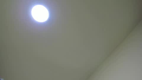   online show from 02-24-25, 11:54