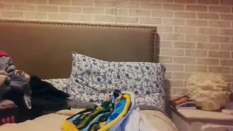 Sara online show from 12-15-24, 12:07