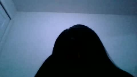 sashacoxxx online show from 12-01-25, 02:16