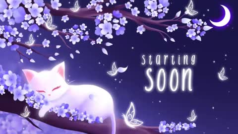 Sassy Sami Kittyn online show from 02-17-25, 05:47