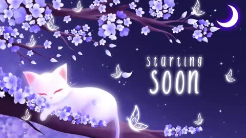 Sassy Sami Kittyn online show from 03-10-25, 05:11