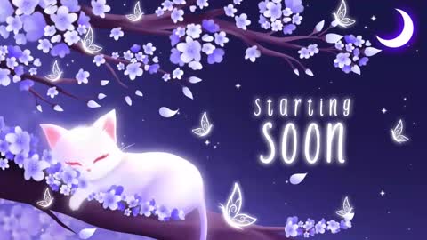 Sassy Sami Kittyn online show from 09-22-25, 05:31