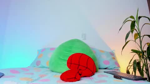     online show from 11-19-25, 08:14