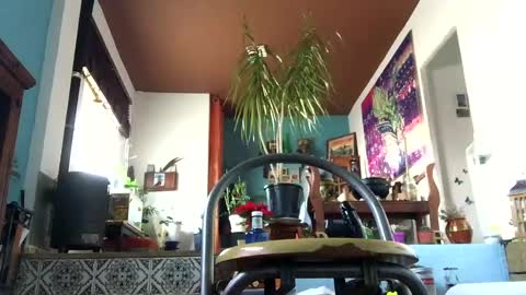 Snapshot of satur850 chatting on 12-05-24, 09:17 satur850 online show from 12-05-24, 09:17