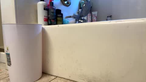 Snapshot of saucy_latino chatting on 03-01-26, 11:40 ElVergone online show from 03-01-26, 11:40