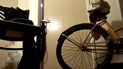 SnowBunny online show from 01-02-25, 10:58