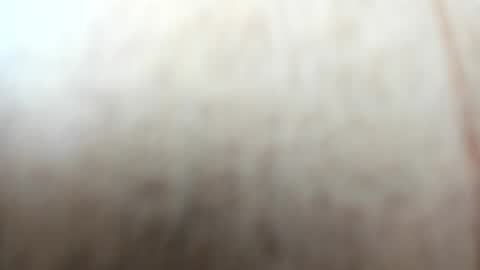 sayo_mao18 online show from 09-24-25, 01:53