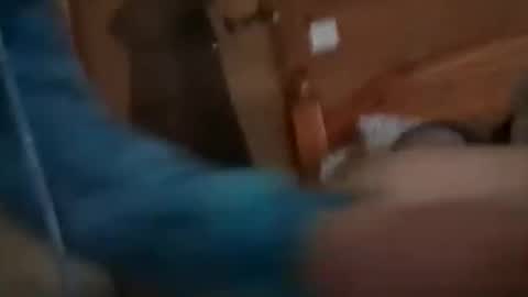 scamp12 online show from 10-21-25, 11:11