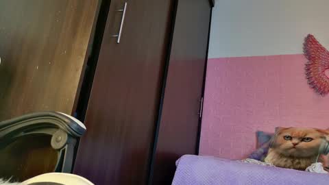 scarlett_099 online show from 09-25-25, 11:36