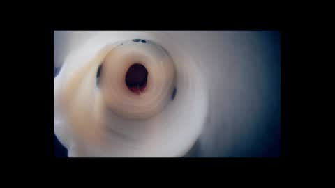 Scarr online show from 02-02-26, 02:38