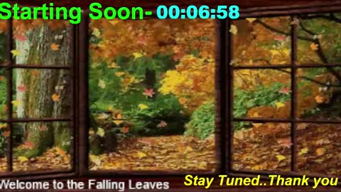 ...PHIL... online show from 11-10-25, 01:04