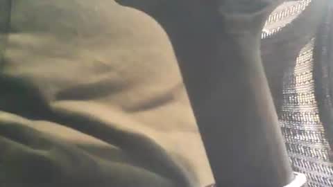 scottie813 online show from 10-26-25, 03:07