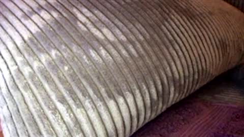 Snapshot of scotty2hotty46_ chatting on 02-21-26, 05:41 scotty2hotty46_ online show from 02-21-26, 05:41