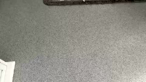 Snapshot of scottyc48 chatting on 11-08-25, 10:04 scottyc48 online show from 11-08-25, 10:04