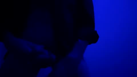 SeanWadGodDamn online show from 10-13-25, 05:40