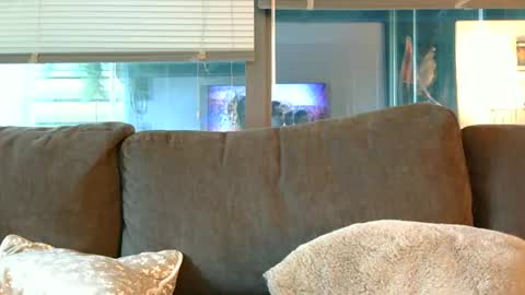 Snapshot of sebroyce chatting on 06-14-26, 12:41 Sebastian Royce online show from 06-14-26, 12:41