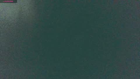 Snapshot of secret18slaveanon chatting on 12-14-24, 08:56 Sunny online show from 12-14-24, 08:56