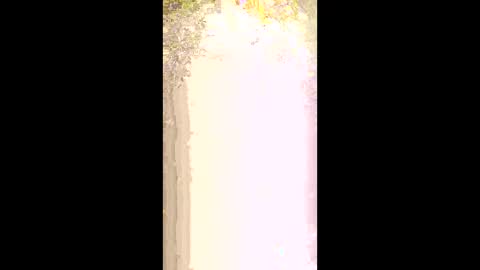 seethru9 online show from 03-02-26, 01:18