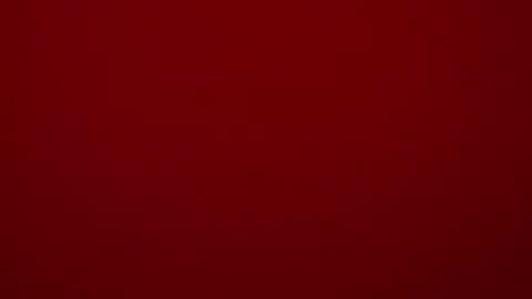 seeus24 online show from 02-15-25, 05:39