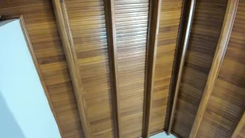 Selene online show from 04-05-26, 07:44