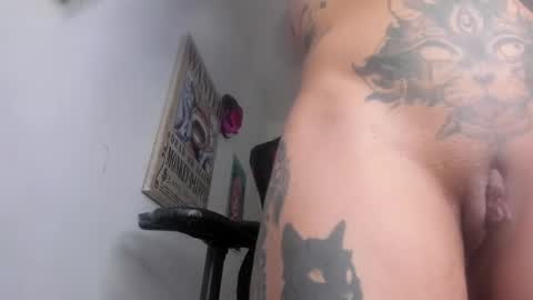 Snapshot of selina_kyl3 chatting on 01-06-25, 12:37 Selinna Kyle online show from 01-06-25, 12:37