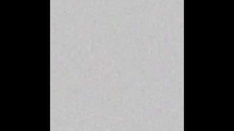 ROSE online show from 12-20-24, 11:00