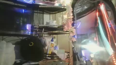 Snapshot of sequoia8888 chatting on 10-29-25, 07:26 sequoia8888 online show from 10-29-25, 07:26